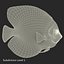 Symphysodon Fish Pose 2
