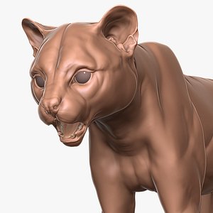 Ocelot Cat Primary Forms Zbrush Sculpt 3D model