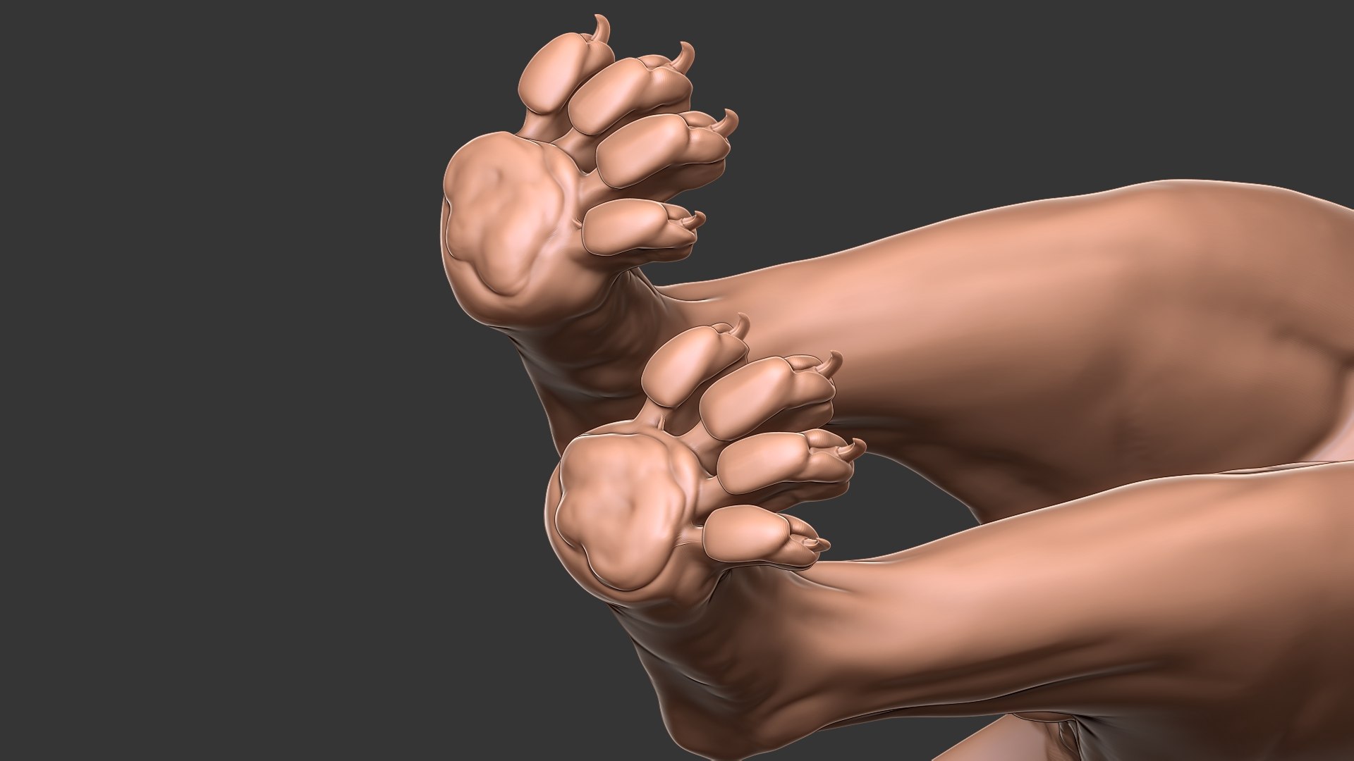 Ocelot Cat Primary Forms Zbrush Sculpt 3D Model - TurboSquid 1817906