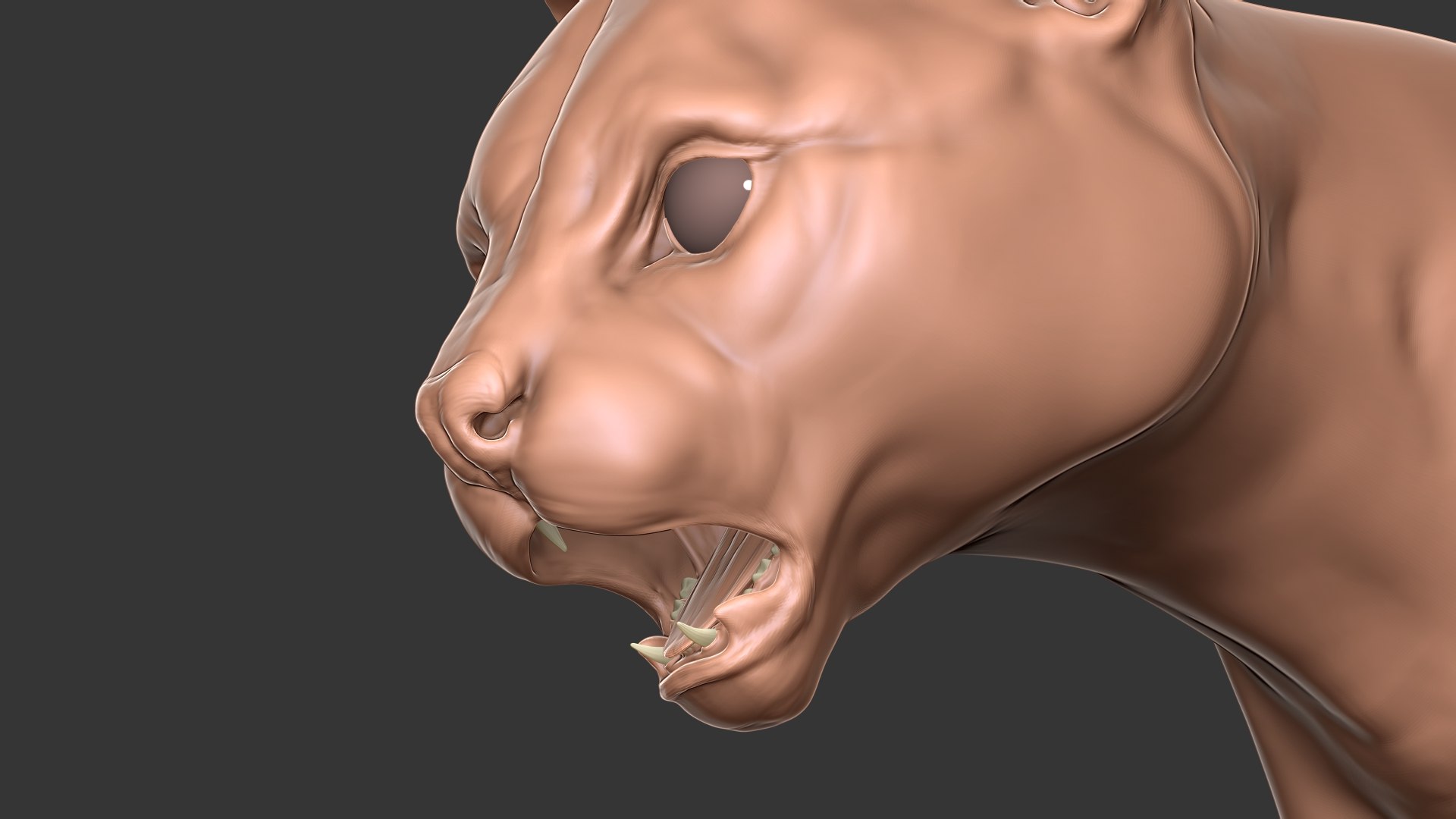 Ocelot Cat Primary Forms Zbrush Sculpt 3D Model - TurboSquid 1817906