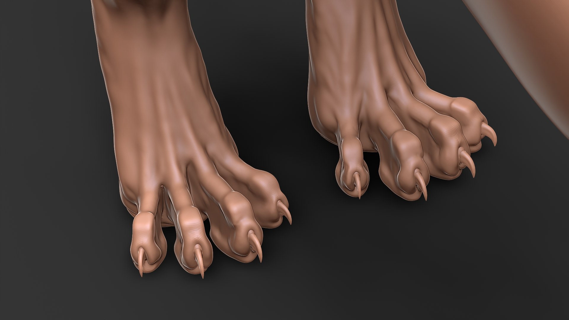 Ocelot Cat Primary Forms Zbrush Sculpt 3D Model - TurboSquid 1817906