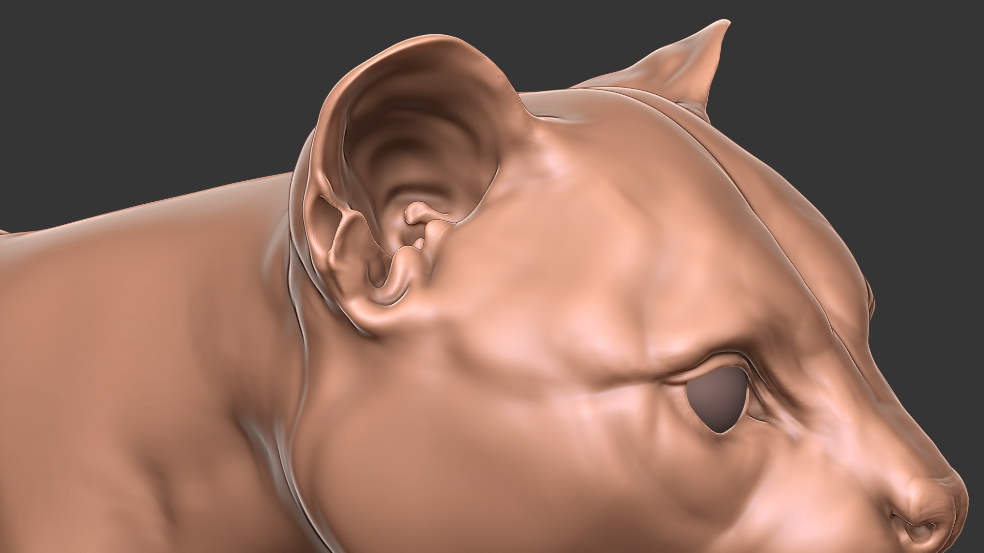 Ocelot Cat Primary Forms Zbrush Sculpt 3D Model - TurboSquid 1817906