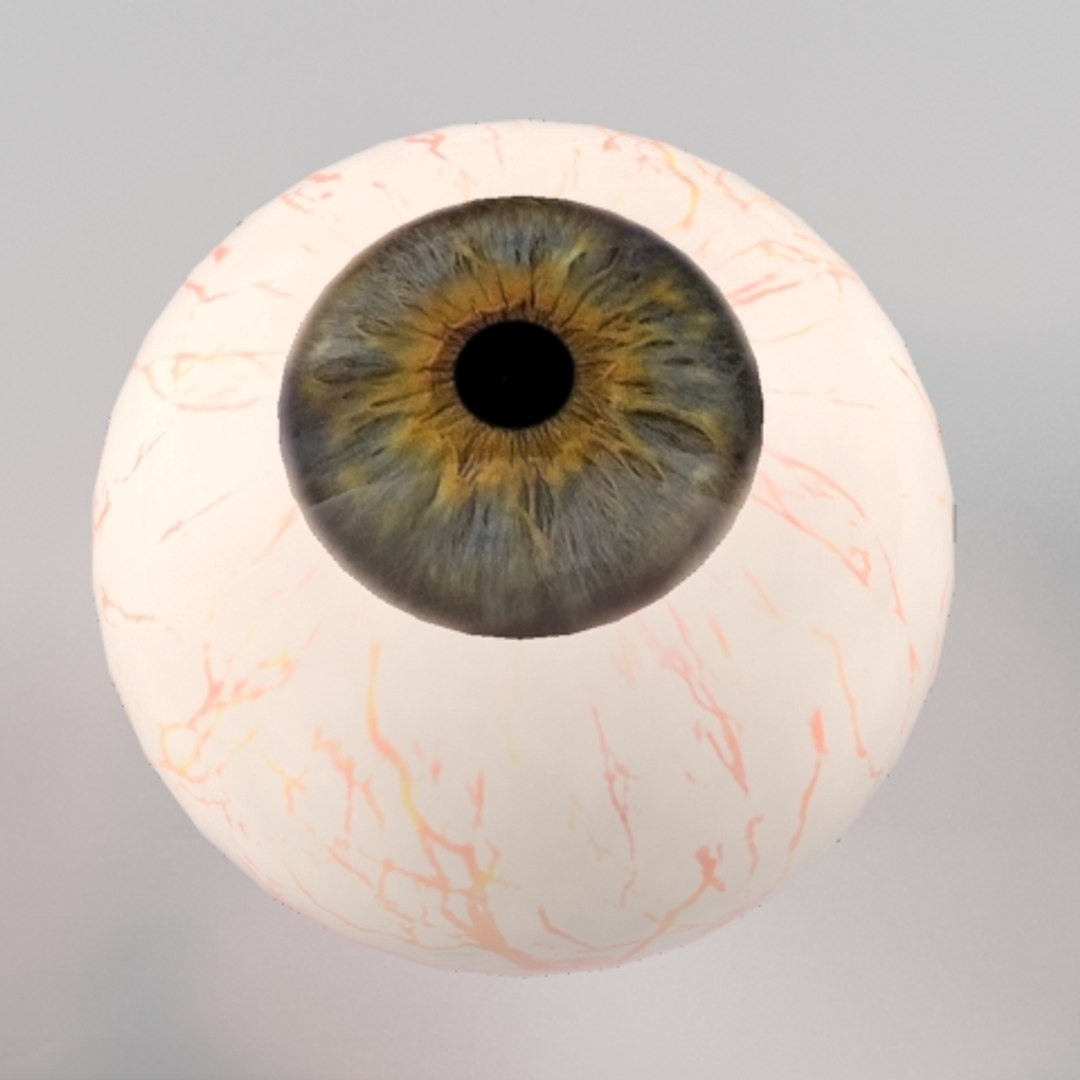 3d model human eyeball eyes https://p.turbosquid.com/ts-thumb/Q2/zUo6zc/MUpOYv65/eyeball0000/jpg/1189383069/1920x1080/fit_q87/ba8742655085048f6f168c20b054eda6b5a85175/eyeball0000.jpg