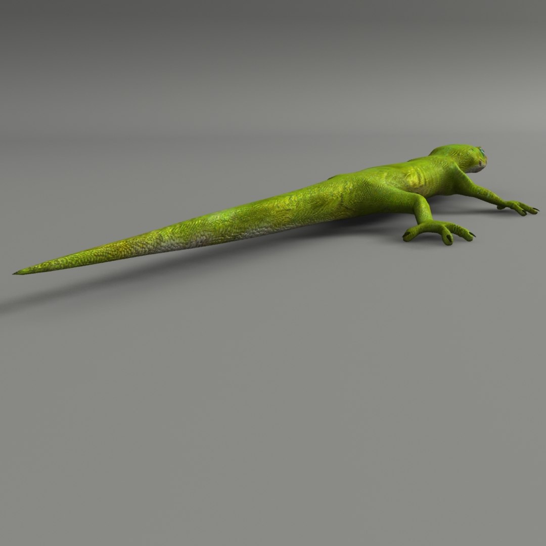 3d model green lizard