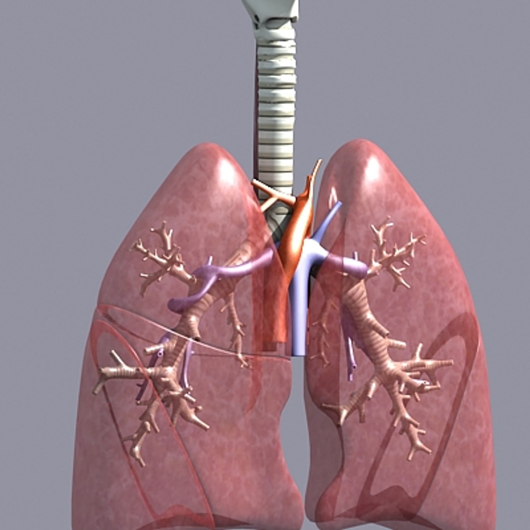 Respiratory Max