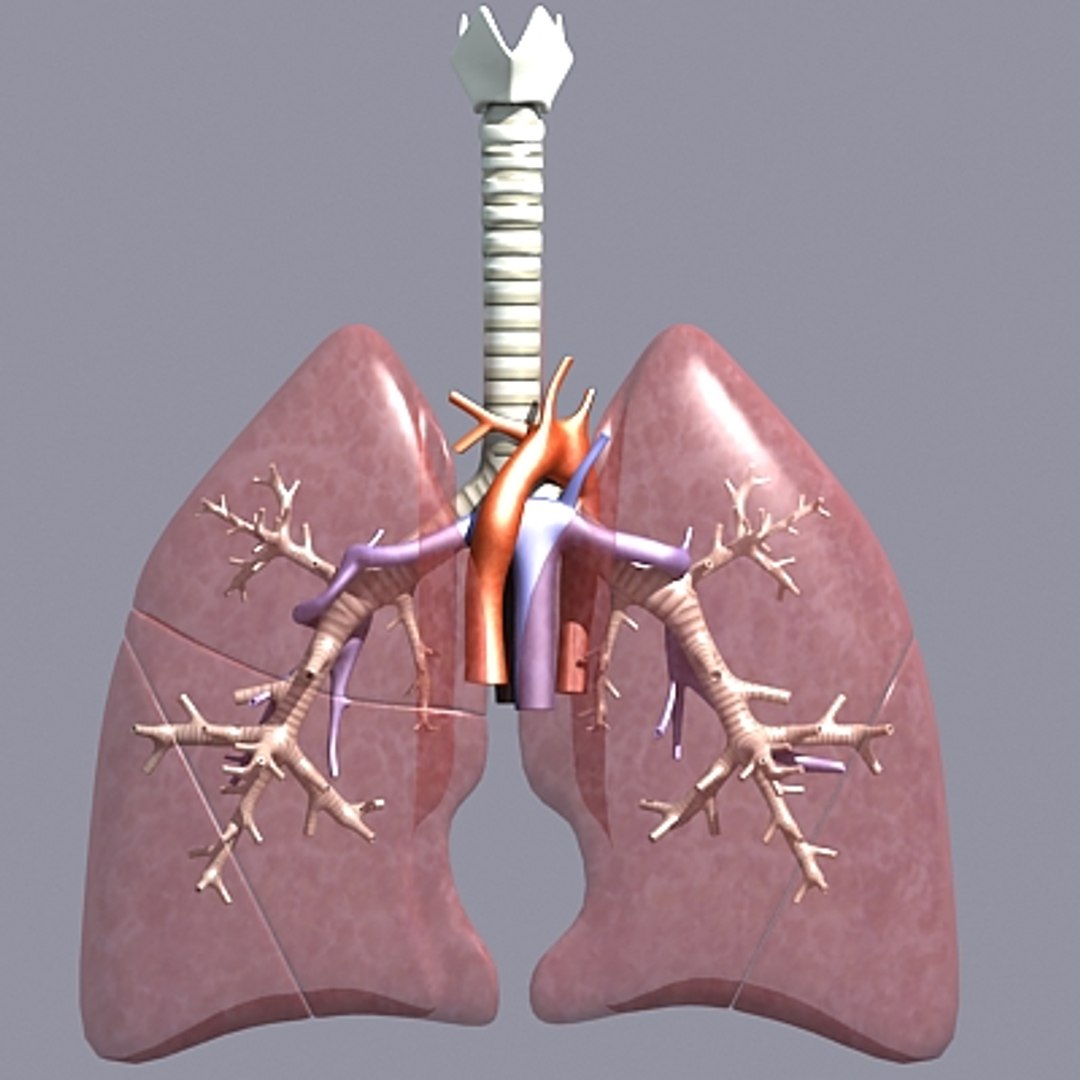 Respiratory Max