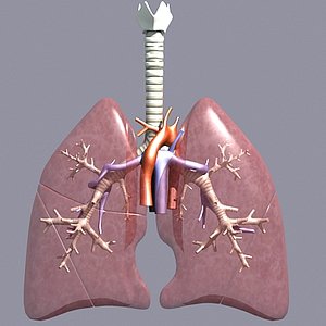respiratory max