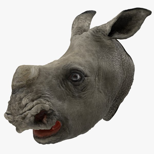 baby rhino head 3D model