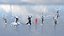 Fantazy Stylized Winter Nature - Snow Trees Pack