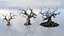 Fantazy Stylized Winter Nature - Snow Trees Pack