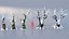 Fantazy Stylized Winter Nature - Snow Trees Pack