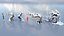 Fantazy Stylized Winter Nature - Snow Trees Pack