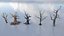 Fantazy Stylized Winter Nature - Snow Trees Pack