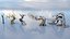 Fantazy Stylized Winter Nature - Snow Trees Pack