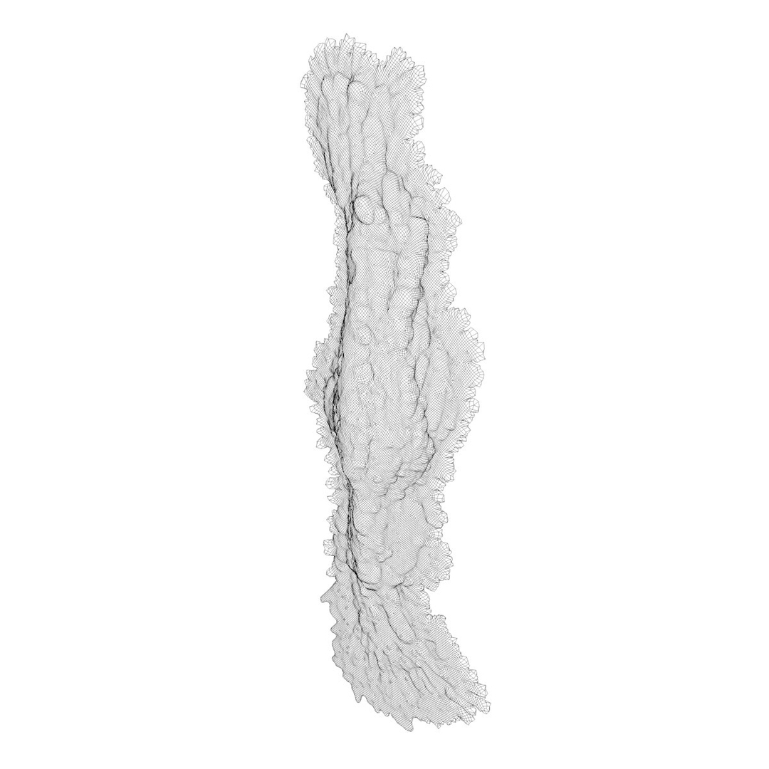 single cell c4d https://p.turbosquid.com/ts-thumb/Q3/V5E2y3/i0tjYYoR/flatcellturn01/jpg/1364209901/1920x1080/turn_fit_q99/ddf574013bb407a6b40c5ecfe2e71c4b7a29d510/flatcellturn01-1.jpg
