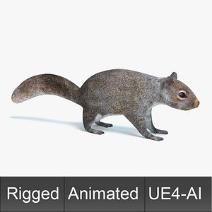 Animated Game Squirrel