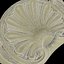 Moulding