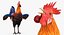 Coq et poulets Rigged Collection 2 pour Maya