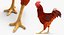 Coq et poulets Rigged Collection 2 pour Maya