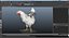 Coq et poulets Rigged Collection 2 pour Maya