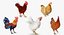 Coq et poulets Rigged Collection 2 pour Maya