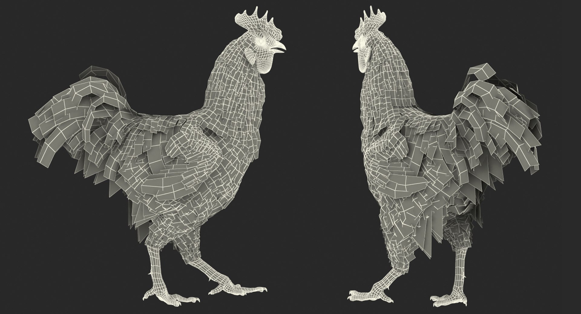 rooster chickens rigged 2 3D model https://p.turbosquid.com/ts-thumb/Q3/cuP6yl/pqx5V3BT/roosterandchickensriggedcollection2c4dmodel044/jpg/1566494101/1920x1080/fit_q87/14303dc29bfe5b649693788f09d069b8cc9b0568/roosterandchickensriggedcollection2c4dmodel044.jpg