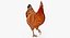 Coq et poulets Rigged Collection 2 pour Maya