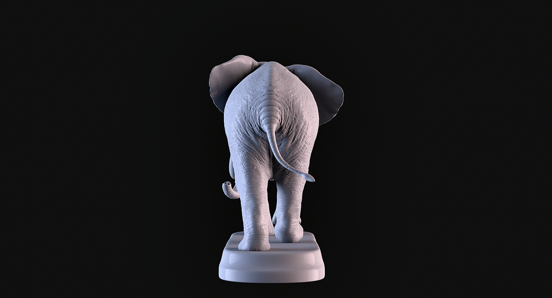 Elephant D Model Turbosquid