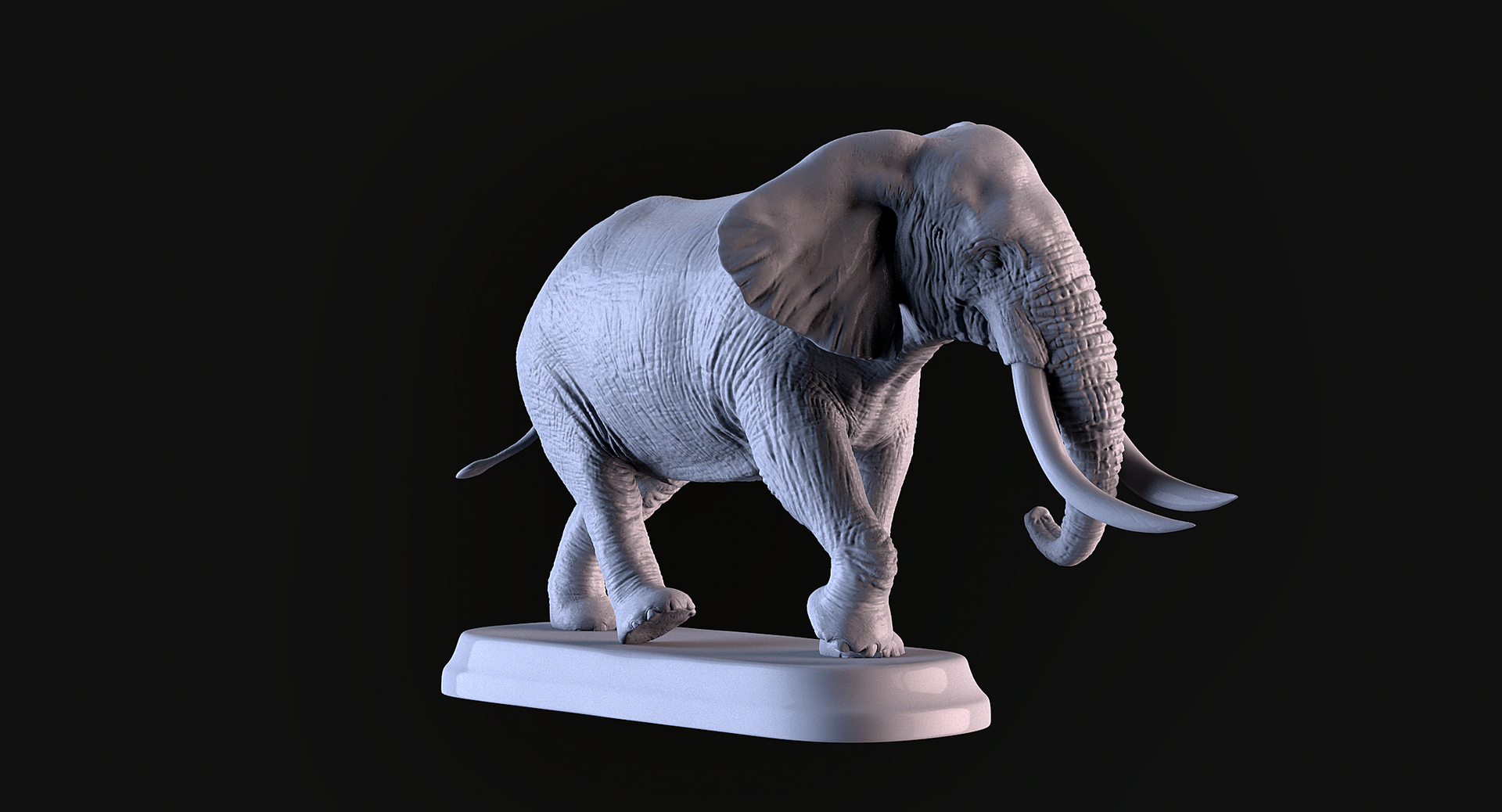 Elephant D Model Turbosquid