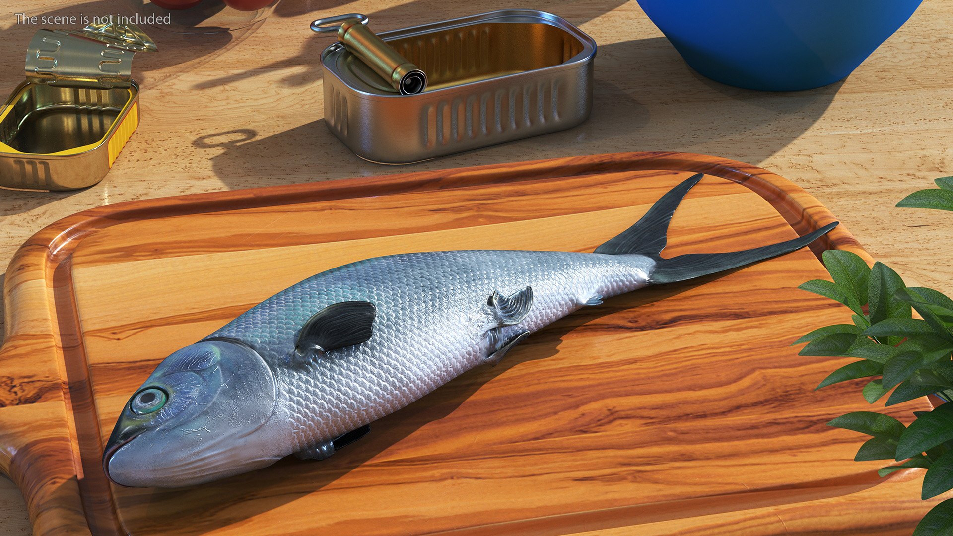 Raw Bangus 3D - TurboSquid 2235608