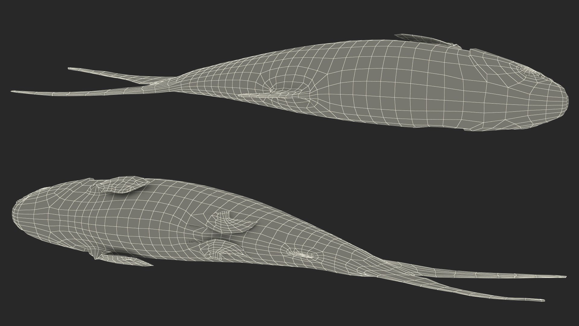 Raw Bangus 3D - TurboSquid 2235608