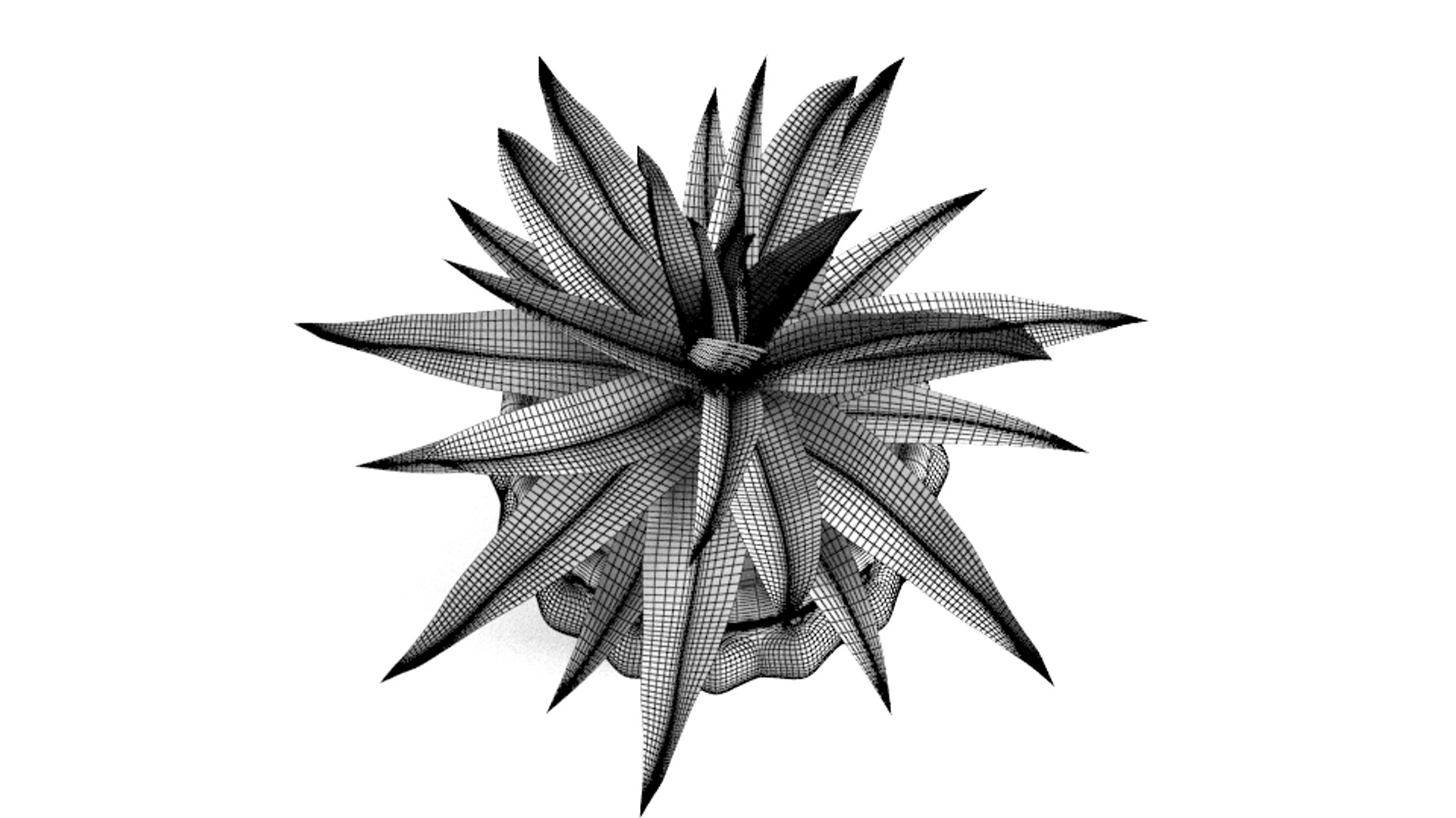 dracaena surprise 3D model https://p.turbosquid.com/ts-thumb/Q3/gD3bcx/VPwbNqbX/dracena6/png/1595594475/1920x1080/fit_q87/447ff2f30e8df5c47ec24d670d1be406fdef0d1a/dracena6.jpg