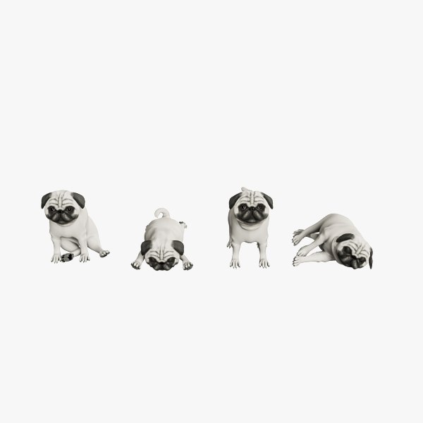 3D pug 02