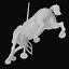 Carousel Horse Collection 12