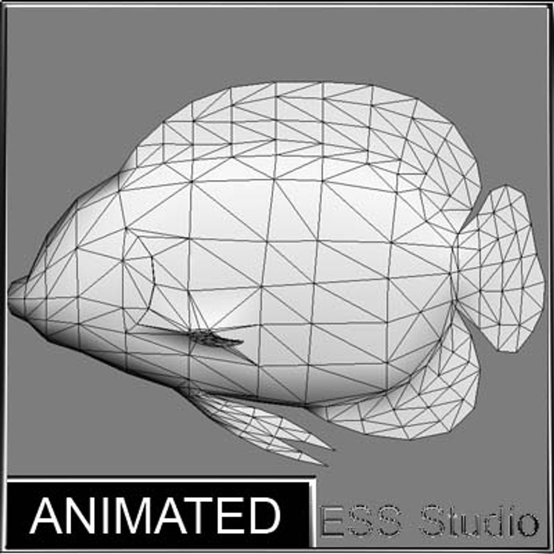 Tropical Fish 3d Model