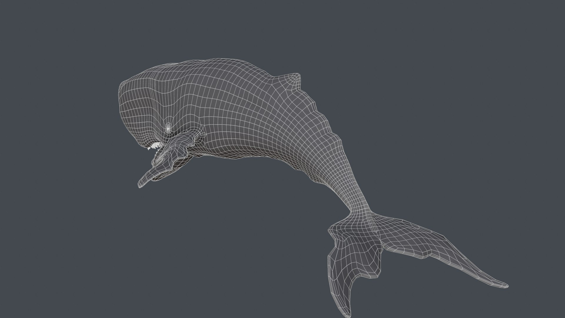The Legendary Whale model https://p.turbosquid.com/ts-thumb/Q3/qYBlty/13/screen_topology3/png/1714557177/1920x1080/fit_q87/85afc7f379351285e6fae5660c217a1fce05748f/screen_topology3.jpg