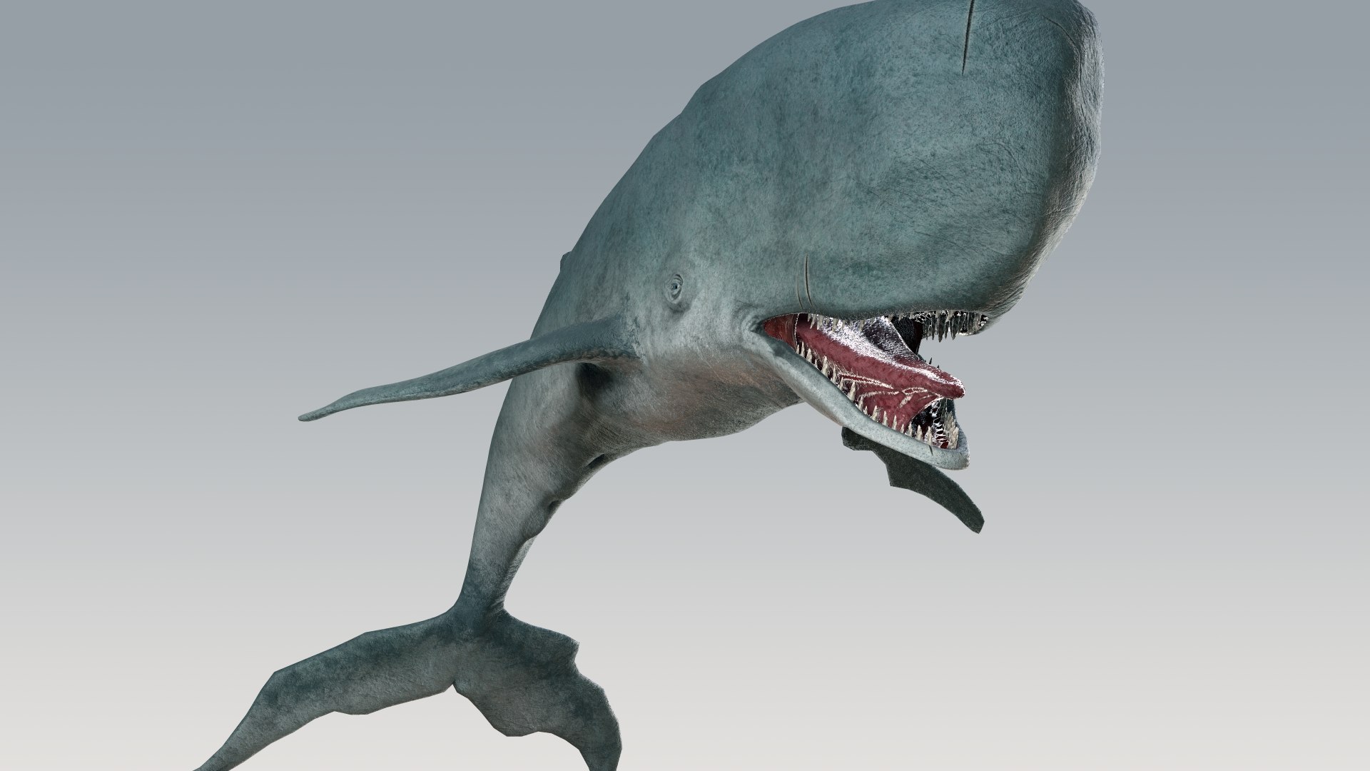 The Legendary Whale model https://p.turbosquid.com/ts-thumb/Q3/qYBlty/5p/screen_a_pose12/png/1714557203/1920x1080/fit_q87/e0b65615f3de8e66368330d05eb525fd7b0944f8/screen_a_pose12.jpg