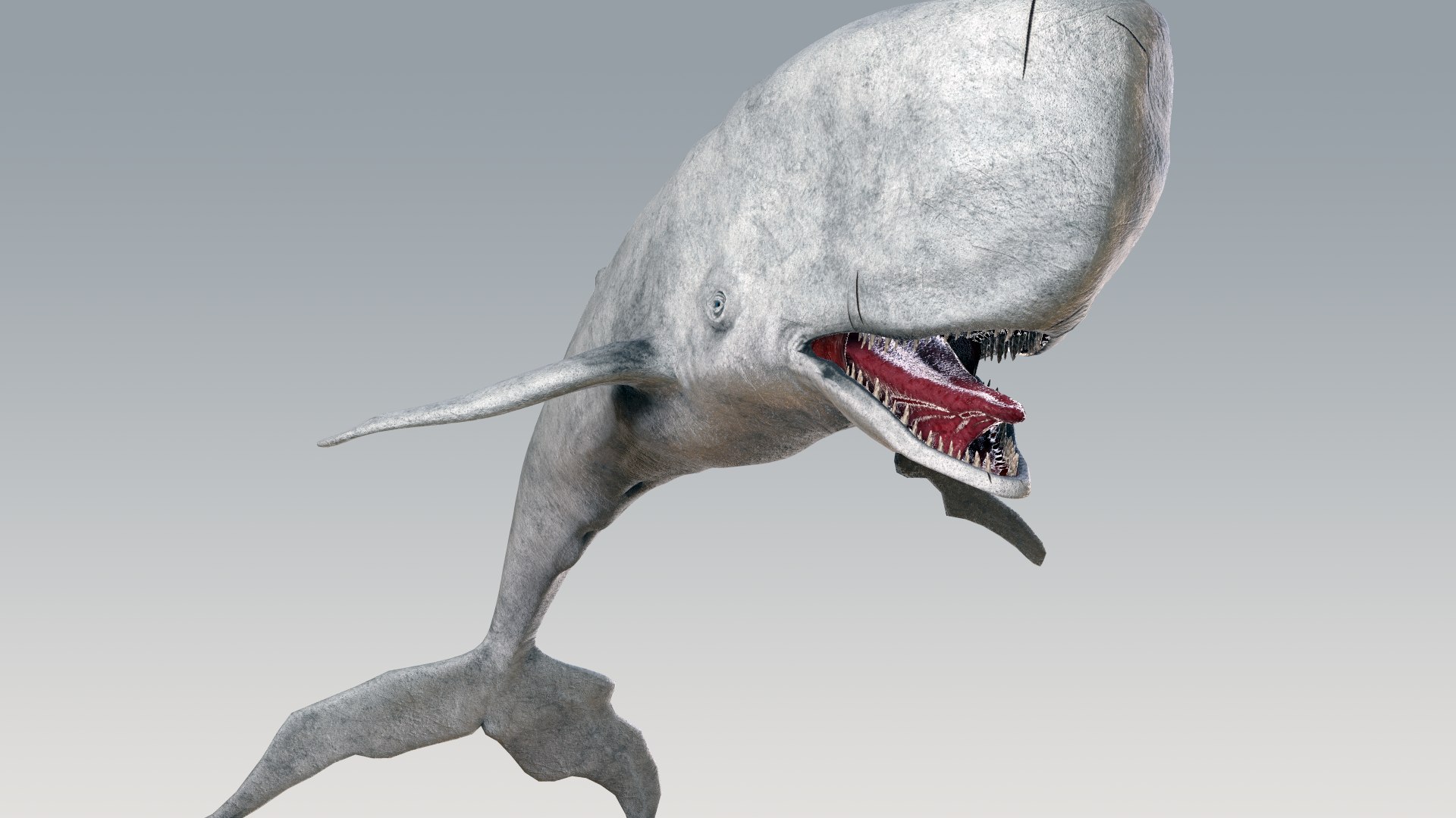 The Legendary Whale model https://p.turbosquid.com/ts-thumb/Q3/qYBlty/63/screen_a_pose11/png/1714557203/1920x1080/fit_q87/c6c2170a544e996b3e832d1cc20cd8c730a838ca/screen_a_pose11.jpg