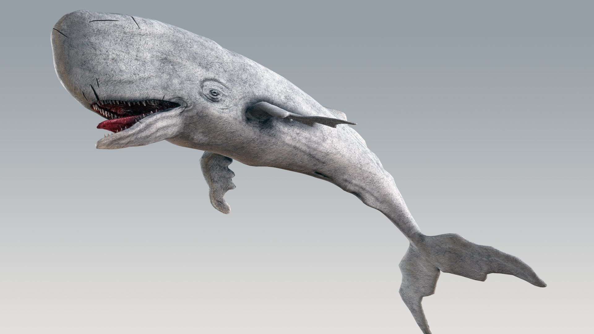 The Legendary Whale model https://p.turbosquid.com/ts-thumb/Q3/qYBlty/9f/screen_a_pose17/png/1714557206/1920x1080/fit_q87/aa959f42034f212ea834ab6bb6b5bdeff00770e2/screen_a_pose17.jpg