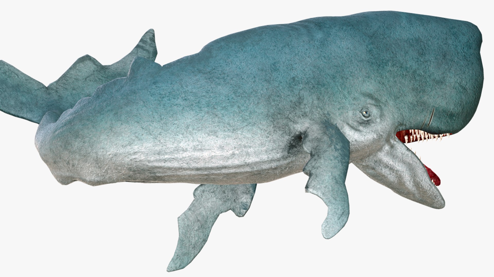 The Legendary Whale model https://p.turbosquid.com/ts-thumb/Q3/qYBlty/Ag/the_legendary_whale_screen_16/png/1714557192/1920x1080/fit_q87/3625a7b6b0eb2b6ac337cd4757325ddbae427302/the_legendary_whale_screen_16.jpg