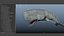 The Legendary Whale