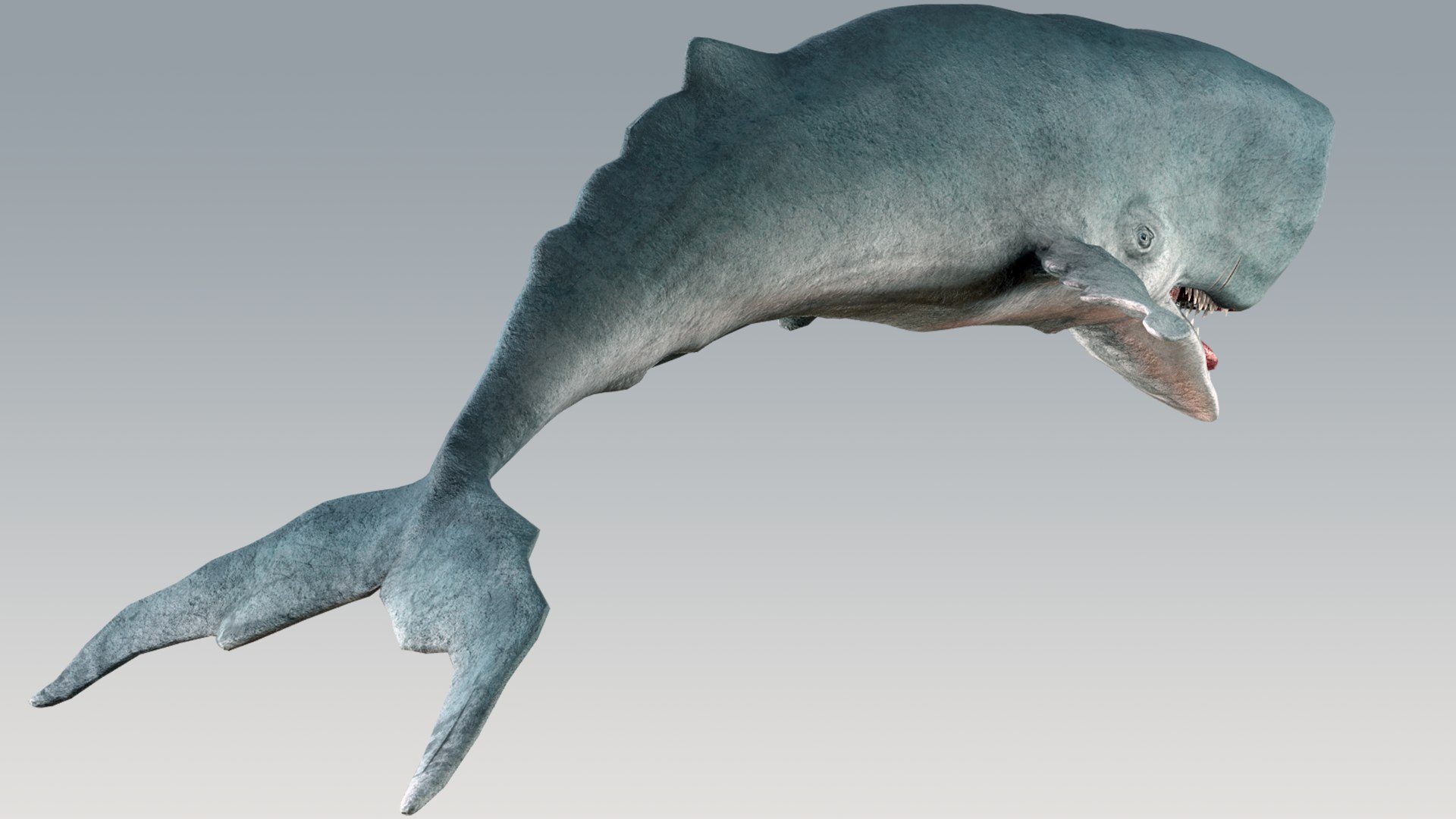 The Legendary Whale model https://p.turbosquid.com/ts-thumb/Q3/qYBlty/Lz/screen_a_pose8/png/1714557201/1920x1080/fit_q87/5ee3143751b8e480bc9acfc0cbe0d3291e6dfd92/screen_a_pose8.jpg