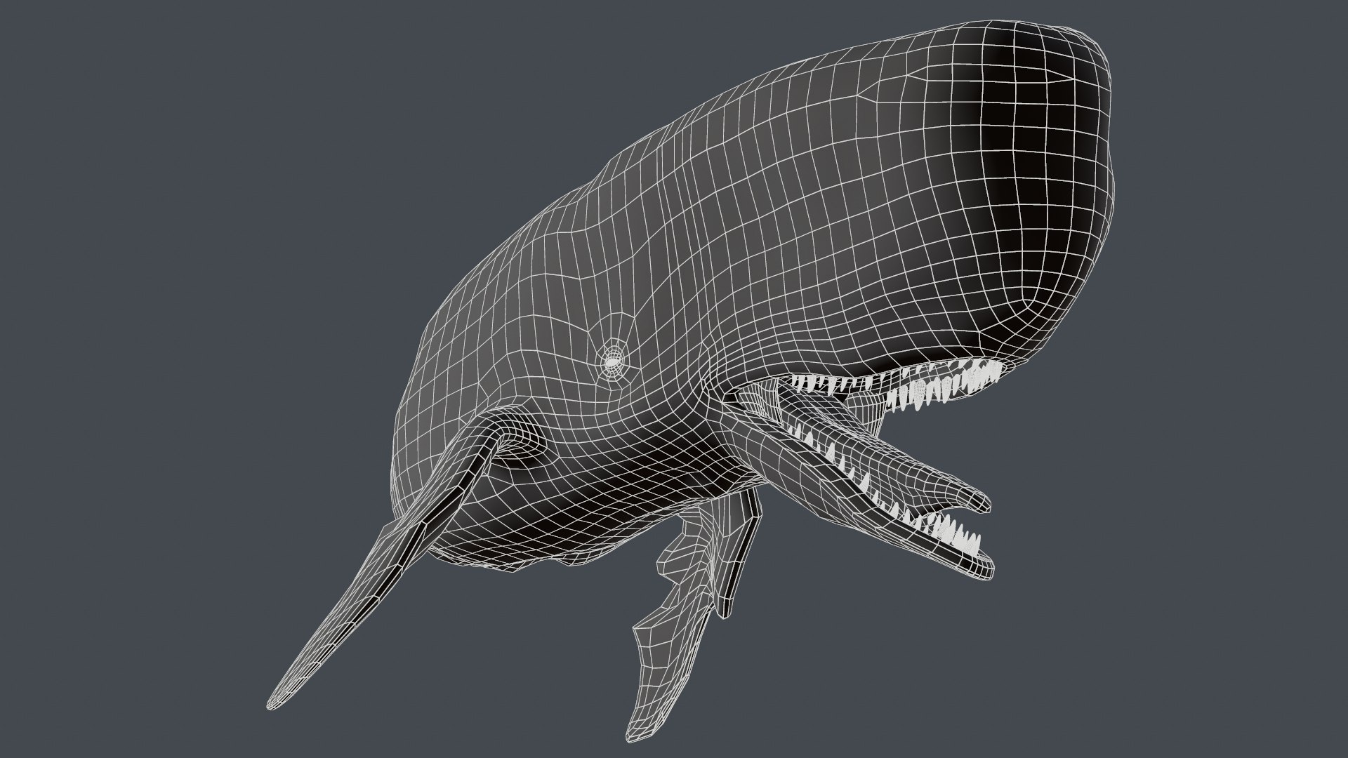The Legendary Whale model https://p.turbosquid.com/ts-thumb/Q3/qYBlty/Mc/screen_topology_thumbanils_pose3/png/1714557182/1920x1080/fit_q87/14c08a7479b468b5d84f3a223dfe882927dc6c10/screen_topology_thumbanils_pose3.jpg