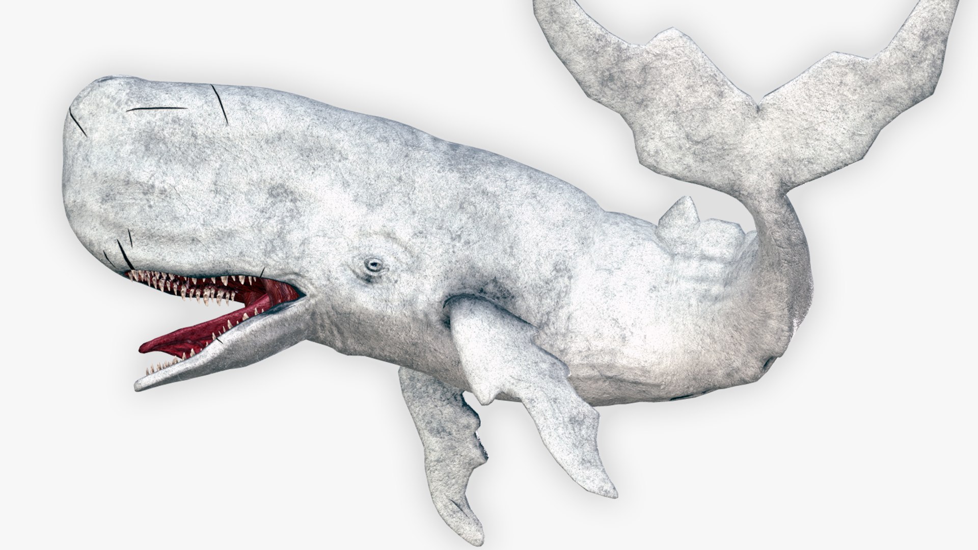 The Legendary Whale model https://p.turbosquid.com/ts-thumb/Q3/qYBlty/Mv/the_legendary_whale_screen_3/png/1714557186/1920x1080/fit_q87/b9429536ff88adacda61e79a9b6c94b4214a50ba/the_legendary_whale_screen_3.jpg