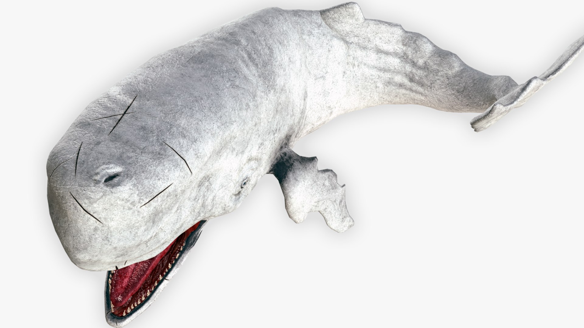 The Legendary Whale model https://p.turbosquid.com/ts-thumb/Q3/qYBlty/Ql/the_legendary_whale_screen_9/png/1714557189/1920x1080/fit_q87/f304e560c66d3c6d46b8a6bb2a7bc06377050f87/the_legendary_whale_screen_9.jpg