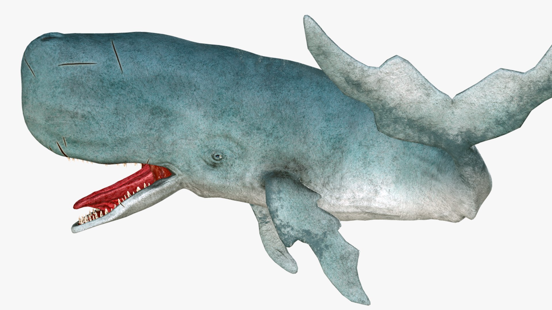 The Legendary Whale model https://p.turbosquid.com/ts-thumb/Q3/qYBlty/Vq/the_legendary_whale_screen_12/png/1714557190/1920x1080/fit_q87/af4b14ea482f44e95ff2eacc782de8d3c6f40d2a/the_legendary_whale_screen_12.jpg