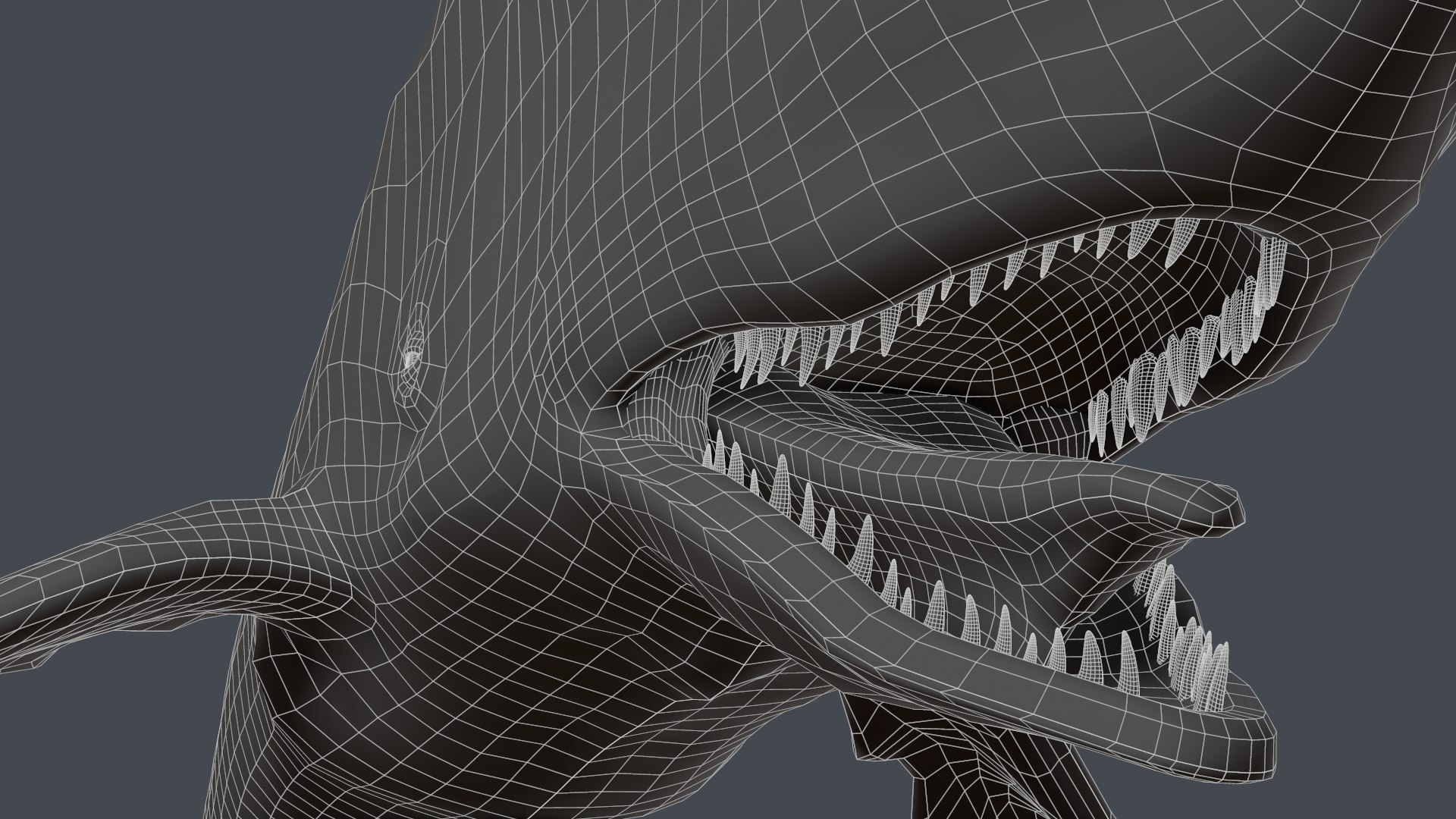 The Legendary Whale model https://p.turbosquid.com/ts-thumb/Q3/qYBlty/XK/screen_topology10/png/1714557180/1920x1080/fit_q87/0bdef67a507e2393cca05e6a0fd10d506b59eaea/screen_topology10.jpg