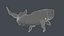 The Legendary Whale
