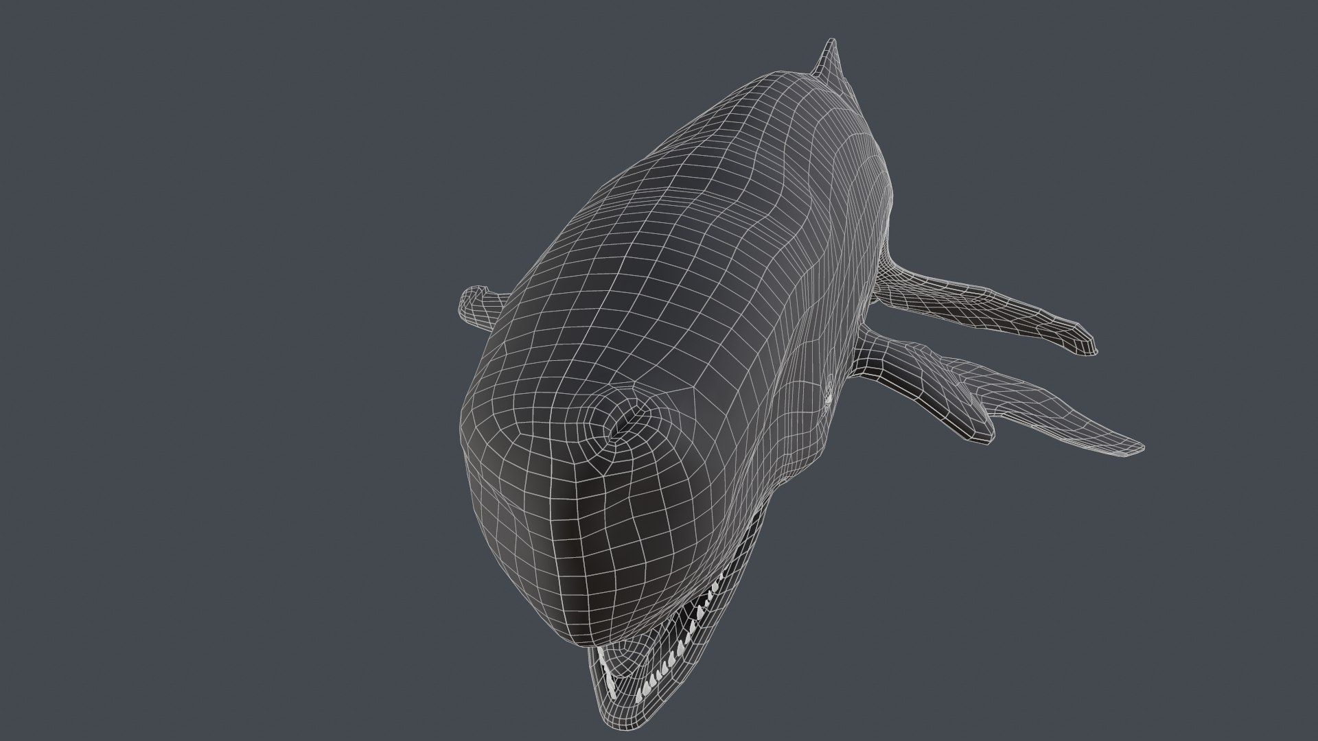 The Legendary Whale model https://p.turbosquid.com/ts-thumb/Q3/qYBlty/Yt/screen_topology6/png/1714557178/1920x1080/fit_q87/931e6c56c6e7529a04030415b8827299d0e6c8e0/screen_topology6.jpg