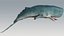 The Legendary Whale